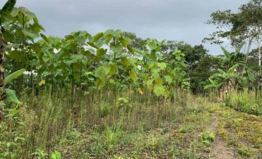 Finca de Venta en portoviejo