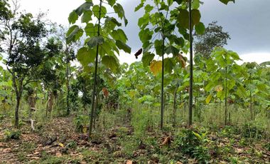 Finca de Venta en portoviejo