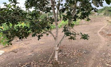 Finca de Venta en portoviejo