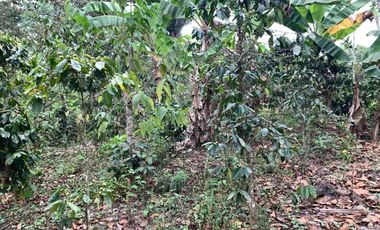 Finca de Venta en portoviejo