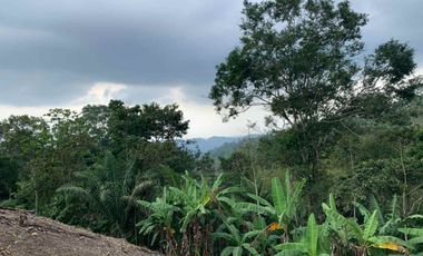 Finca de Venta en portoviejo