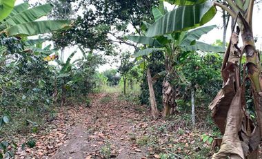 Finca de Venta en portoviejo