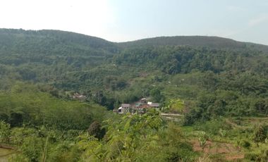 24 Ha Tanah Kebun Akses Jalan Nasional, Cipatat, Bandung Barat