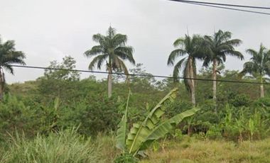 24 Ha Tanah Kebun Akses Jalan Nasional, Cipatat, Bandung Barat