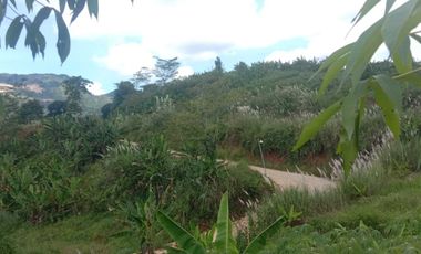 24 Ha Tanah Kebun Akses Jalan Nasional, Cipatat, Bandung Barat