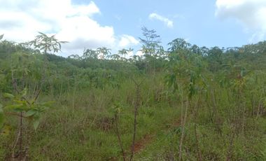 24 Ha Tanah Kebun Akses Jalan Nasional, Cipatat, Bandung Barat