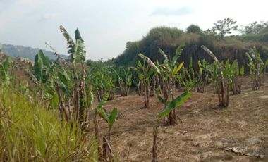 24 Ha Tanah Kebun Akses Jalan Nasional, Cipatat, Bandung Barat