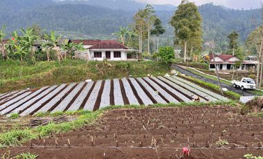 Tanah Istimewa 125 Juta Kemuning Karanganyar