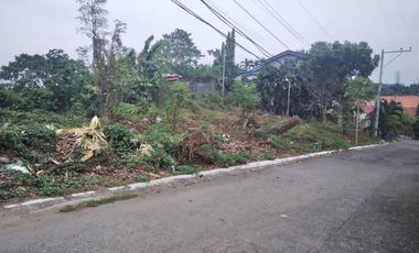 1,402 sq.m. overlooking residential lot for sale  in Sunnyhills Subd.-Talamban @ P25k/month
