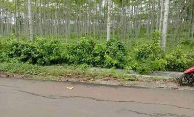 DIJUAL TANAH 2 HEKTAR ZONA INDUSTRI AKSES KONTENER UNTUK INDUSTRI LIMBAH B3 CIBATU PURWAKARTA