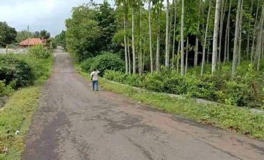 DIJUAL TANAH 2 HEKTAR ZONA INDUSTRI AKSES KONTENER UNTUK INDUSTRI LIMBAH B3 CIBATU PURWAKARTA