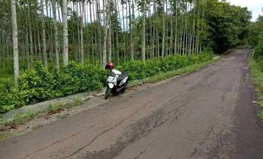 DIJUAL TANAH 2 HEKTAR ZONA INDUSTRI AKSES KONTENER UNTUK INDUSTRI LIMBAH B3 CIBATU PURWAKARTA