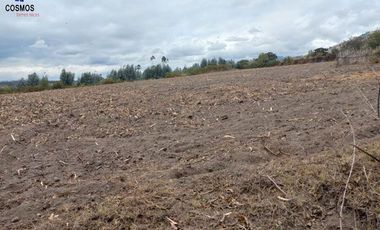 11 Hectáreas de venta en Tumbabiro, Urcuqui