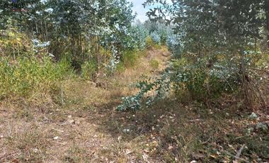 11 Hectáreas de venta en Tumbabiro, Urcuqui