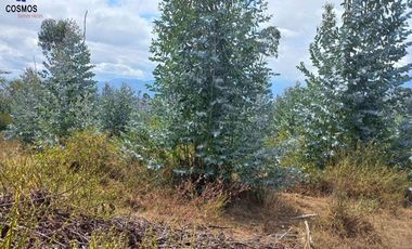 11 Hectáreas de venta en Tumbabiro, Urcuqui