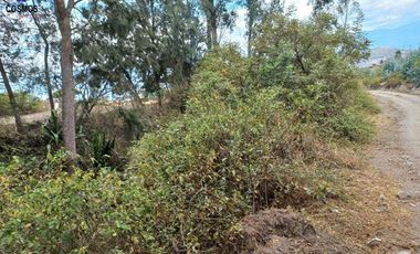 11 Hectáreas de venta en Tumbabiro, Urcuqui