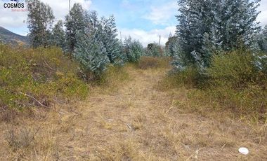 11 Hectáreas de venta en Tumbabiro, Urcuqui