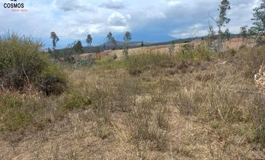 11 Hectáreas de venta en Tumbabiro, Urcuqui