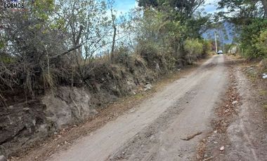 11 Hectáreas de venta en Tumbabiro, Urcuqui