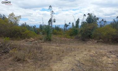 11 Hectáreas de venta en Tumbabiro, Urcuqui