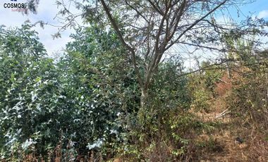 11 Hectáreas de venta en Tumbabiro, Urcuqui