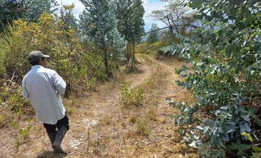 11 Hectáreas de venta en Tumbabiro, Urcuqui