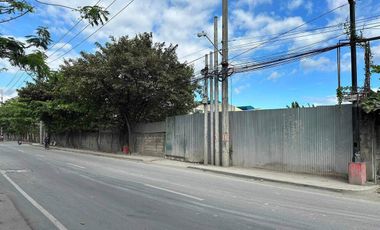 Industrial Lot Ibayo Tipas, Taguig City - For SALE