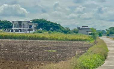 LOT FOR SALE IN VILLASIS, PANGASINAN