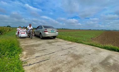 LOT FOR SALE IN VILLASIS, PANGASINAN