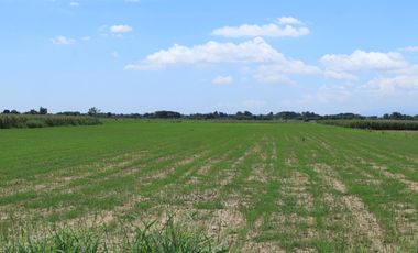 LOT FOR SALE IN VILLASIS, PANGASINAN
