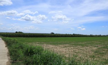 LOT FOR SALE IN VILLASIS, PANGASINAN