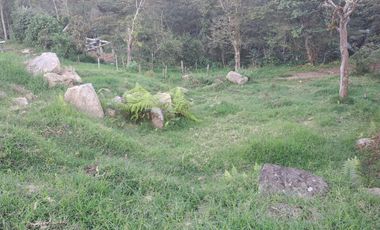 SE VENDE LOTE EN TIBACUY CUNDINAMARCA A UNA CUADRA DE LA ALCALDIA MUNICIPAL- EL PRECIO ES NEGOCIABLE