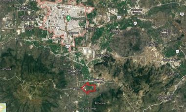 Nave Industrial en Venta en Celaya, Guanajuato. 		$79,000,000