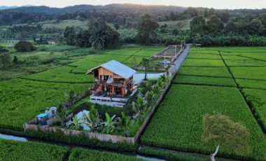 Farm House for Sale surrounded by nature and rice field
