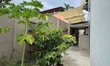Modern House and Lot for Sale in Havila Township Cabrera Road, Dolores, Taytay, Rizal