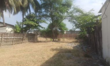 terreno de venta en rocafuerte zona norte manabi