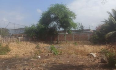 terreno de venta en rocafuerte zona norte manabi
