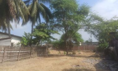 terreno de venta en rocafuerte zona norte manabi