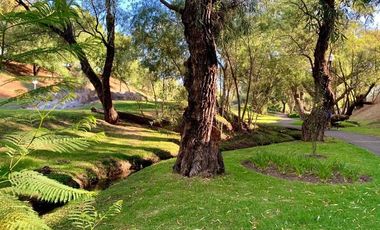 TERRENO EN VENTA SENDEROS DE MONTE VERDE FRENTE A ALBERCA