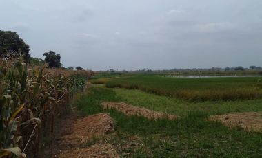 Terreno de Venta en Palenque Vinces