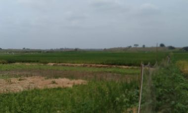 Terreno de Venta en Palenque Vinces