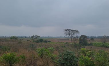 Terreno de Venta en Palenque Vinces