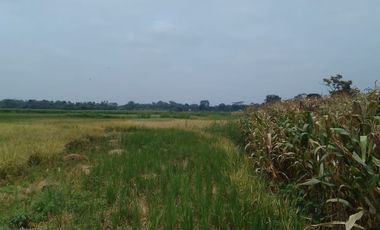 Terreno de Venta en Palenque Vinces