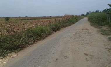 Terreno de Venta en Palenque Vinces