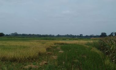 Terreno de Venta en Palenque Vinces