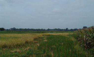 Terreno de Venta en Palenque Vinces