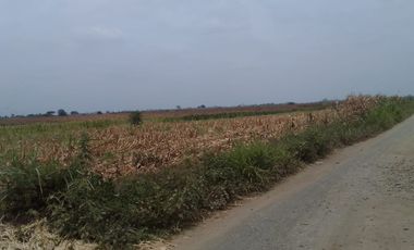 Terreno de Venta en Palenque Vinces
