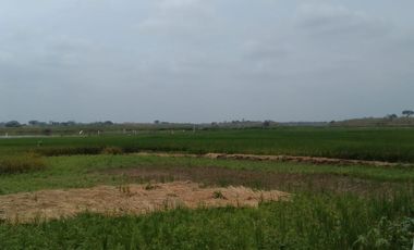 Terreno de Venta en Palenque Vinces