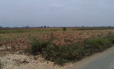 Terreno de Venta en Palenque Vinces