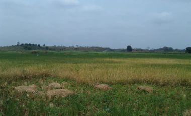 Terreno de Venta en Palenque Vinces